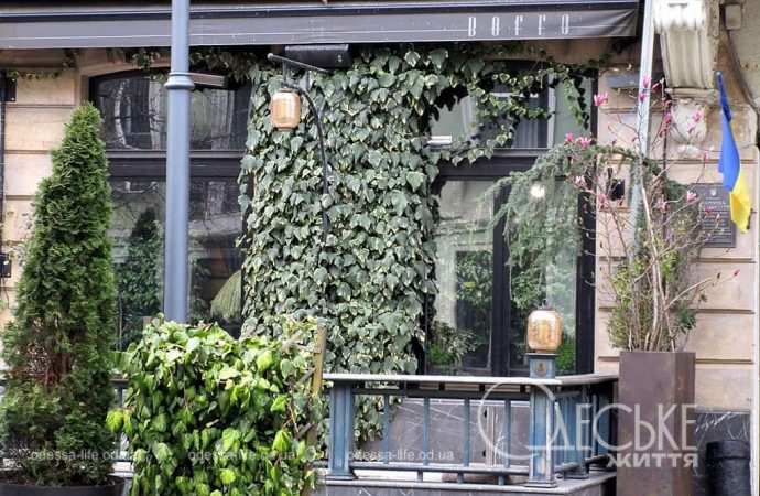 Апрель в Одессе, 2024