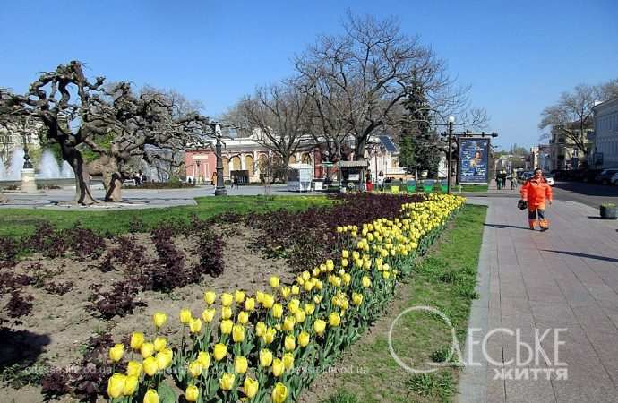 Апрель в Одессе, аллея