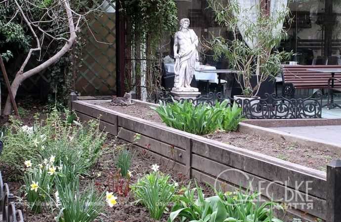 Апрель в Одессе, зелень