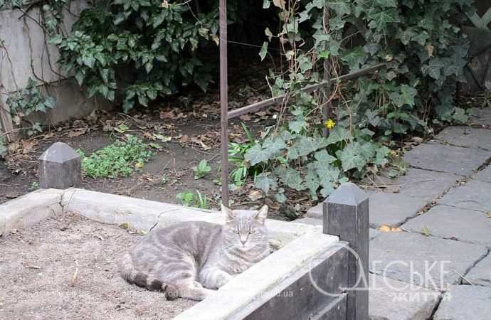 Апрель в Одессе, во дворе
