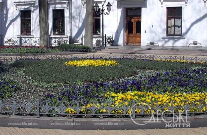 Апрель в Одессе, у мэрии