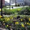 Одесский летний апрель: от сакуры до тюльпанов и струй фонтанов (фоторепортаж)