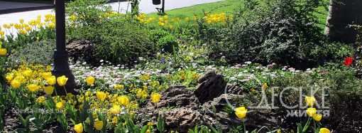 Одеський літній квітень: від сакури до тюльпанів і струменів фонтанів (фоторепортаж)