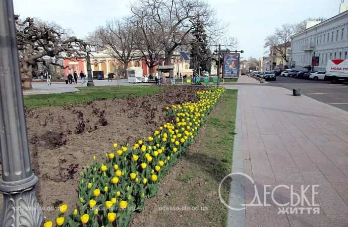 Апрель в Одессе, аллея