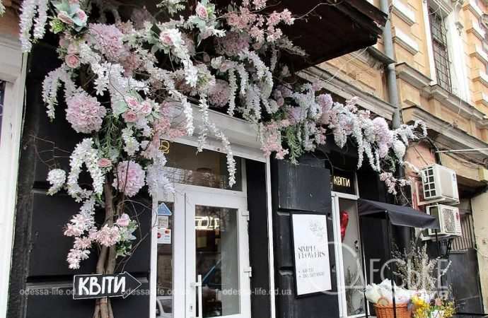 Одесские витрины весной, белые цветы