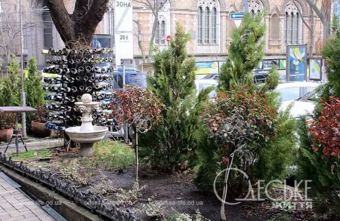 Одесские витрины весной, елки-бутылки