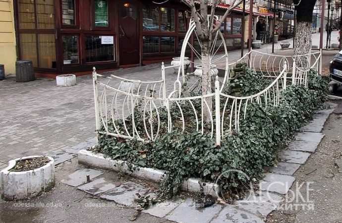 Одесские витрины весной, палисадник