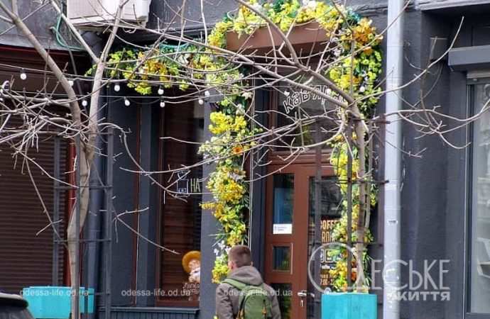 Одесские витрины весной, желтые цветы