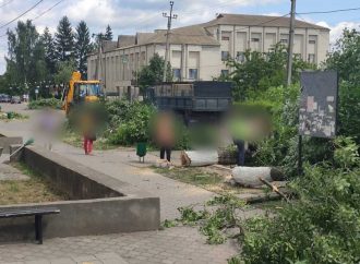 Битва за деревья в Кодыме: активисты требуют прекратить вырубку в центре города