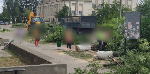 Битва за дерева в Кодимі: активісти вимагають припинити вирубку у центрі міста
