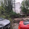 В Одессе воскресенье 21 апреля началось с деревопада (фото)