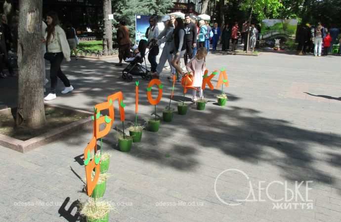 Фестиваль в Горсаду, оригами