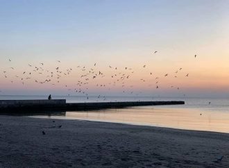 Температура морской воды в Одессе сегодня, 2 октября: бодрящая