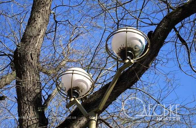 одесский сквер