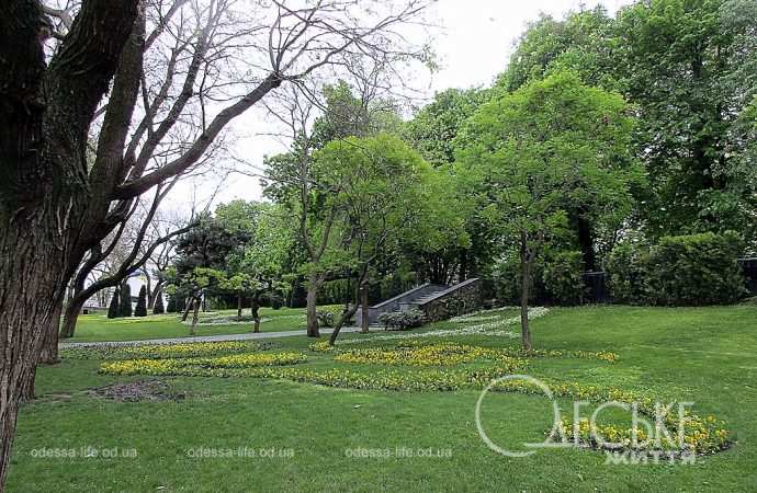 Стамбульский парк в апреле 2024