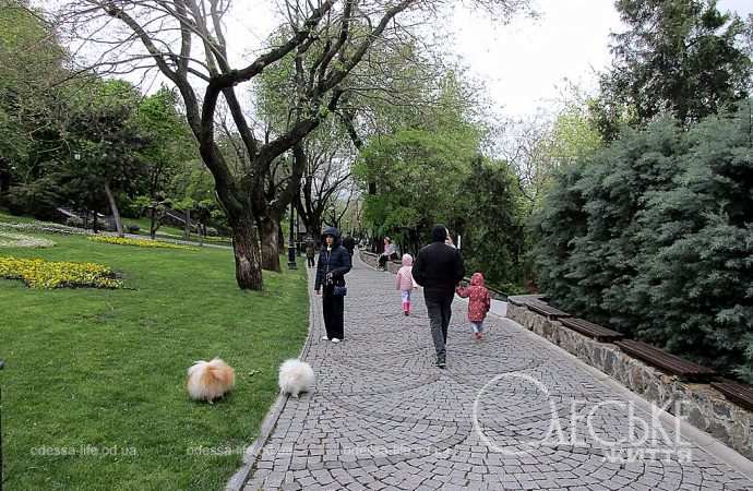 Стамбульский парк, прогулка