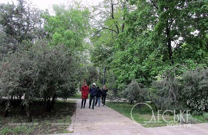 Греческий парк, аллея