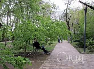 «Мы так давно здесь не ходили»: Потемкинская лестница и молодые парки снова открыты для прогулок (фоторепортаж)