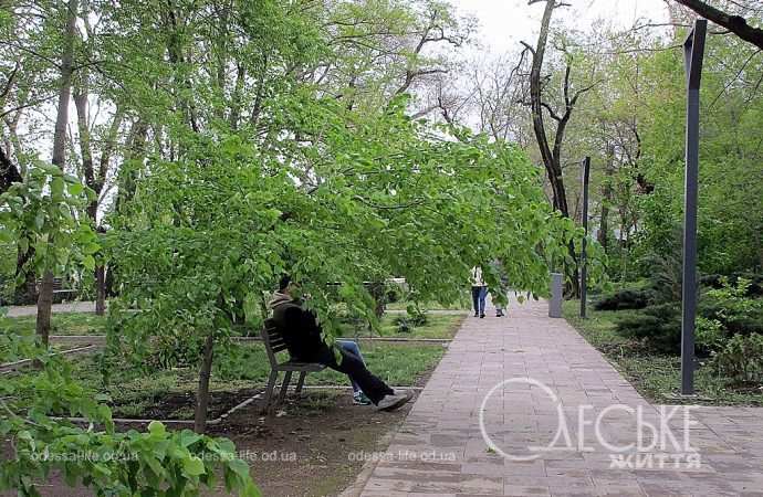 «Ми так давно тут не ходили»: Потьомкінські сходи та молоді парки знову відкриті для прогулянок (фоторепортаж)
