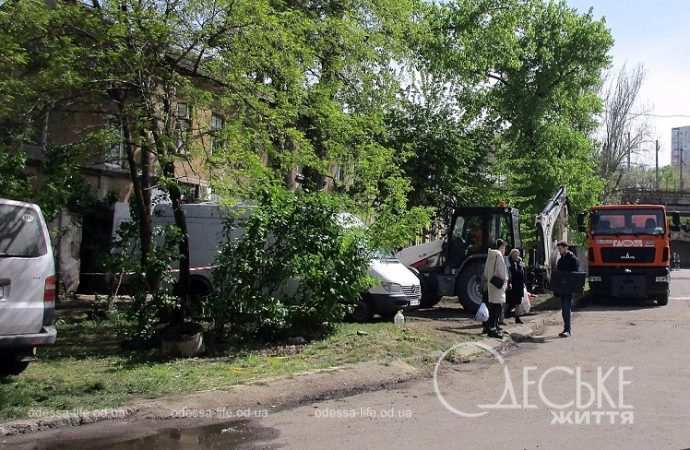 Пересыпь, 23 апреля 2024, у дороги