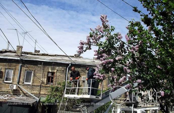 Пересыпь, 23 апреля 2024, у дома