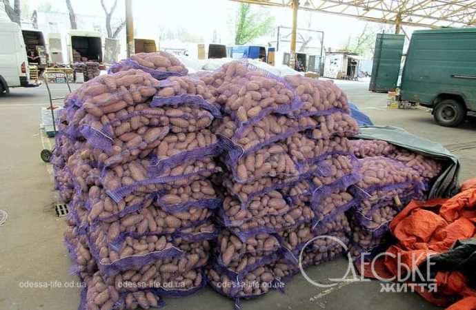 Одесский Привоз: картофель в мешках