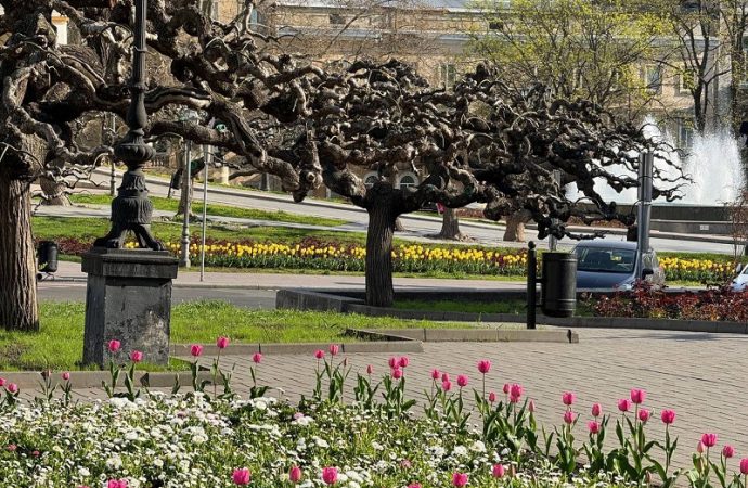 Одесса весенняя