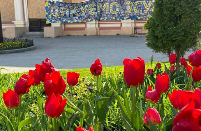 Тюльпаны в Одессе: у Оперного