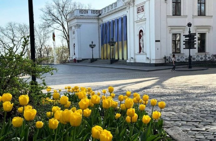 Тюльпаны в Одессе: Думская