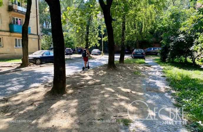 Улица Одесская в Ужгороде, аллея