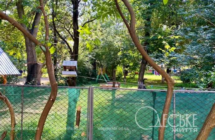 Улица Одесская в Ужгороде, забор