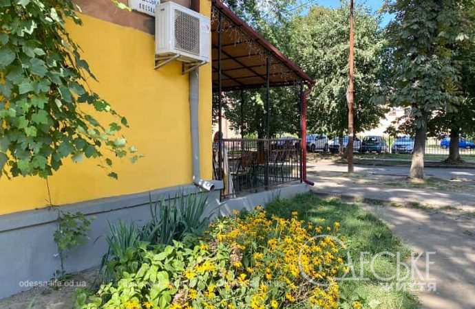 Улица Одесская в Ужгороде, газон