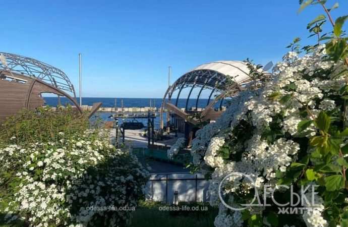 После обстрела: Одесса, 30 апреля 2024-4