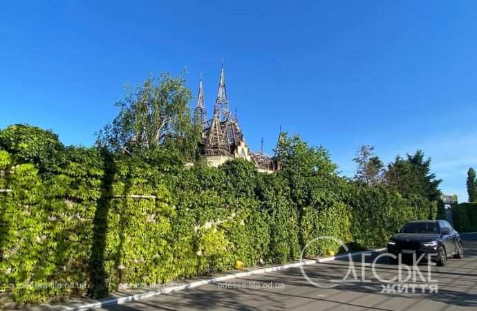 После обстрела: Одесса, 30 апреля 2024, цветение