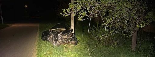 Смертельная авария в Одесской области: автомобиль влетел в электроопору