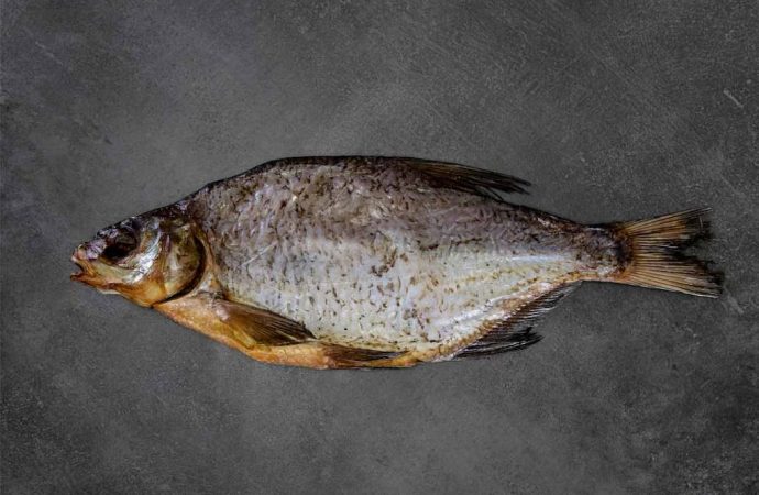 В одесскую «инфекционку» попал рыбак с ботулизмом: что произошло