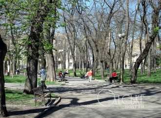 Одесский сквер со львами: «Какой летний апрель!»