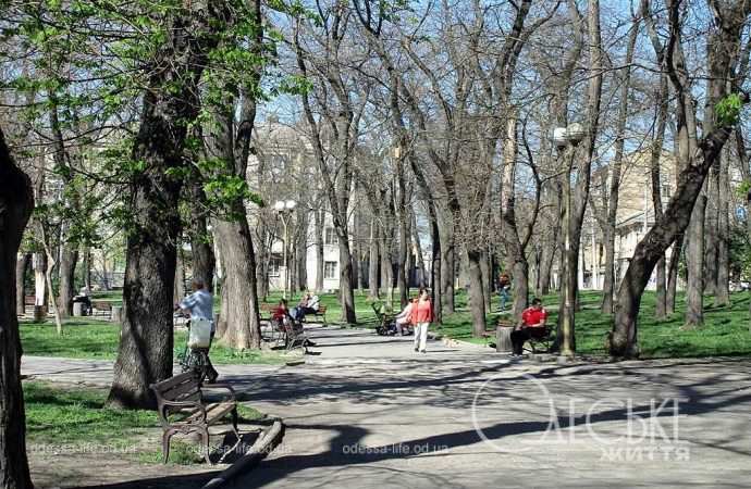 Одесский сквер со львами: «Какой летний апрель!»