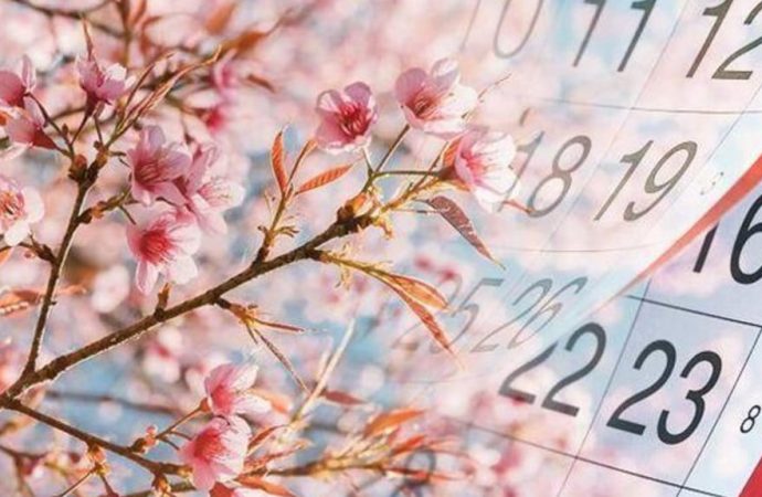 Свята 14 квітня: що таке День “Подивися на небо”, Квантовий день та День добрих справ