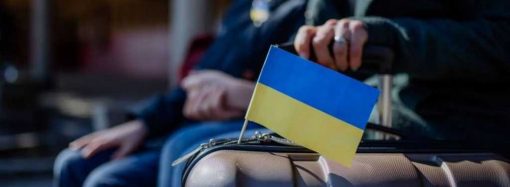 Организации, которые помогут украинцам за рубежом