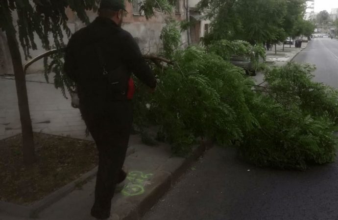 Погода в Одесі 18 вересня: не ходіть під деревами