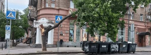 Поривчастий вітер “наламав дров” в Одесі: фоторепортаж