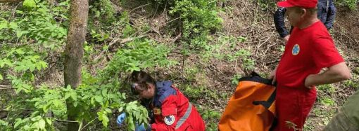 В Одесской области спасли бабушку, которая три дня назад пропала в лесу (видео)