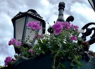 Одессу украсят сотней ваз с цветами (фоторепортаж)