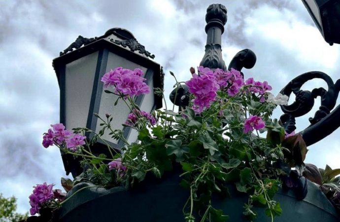 Одессу украсят сотней ваз с цветами (фоторепортаж)