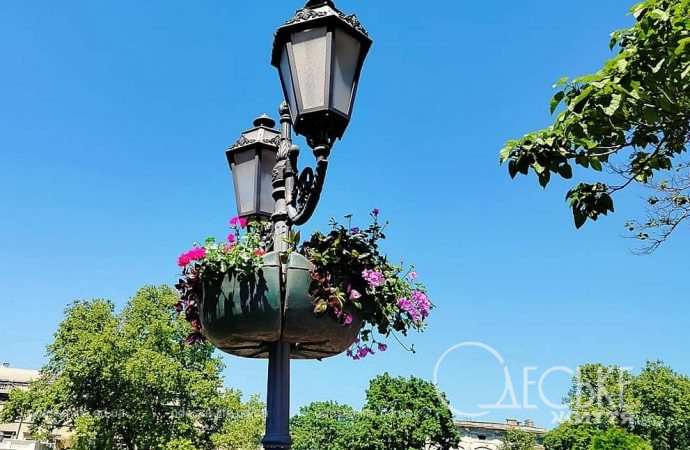 Цветы в Одессе