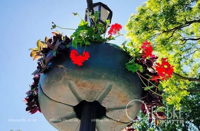 Ваза с цветами, центр Одессы