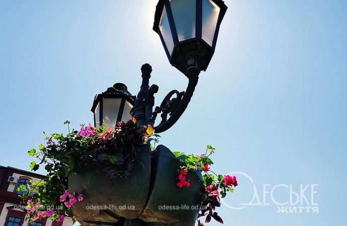 Озеленение по-одесски