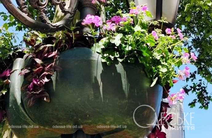 Вазон с цветами в Одессе