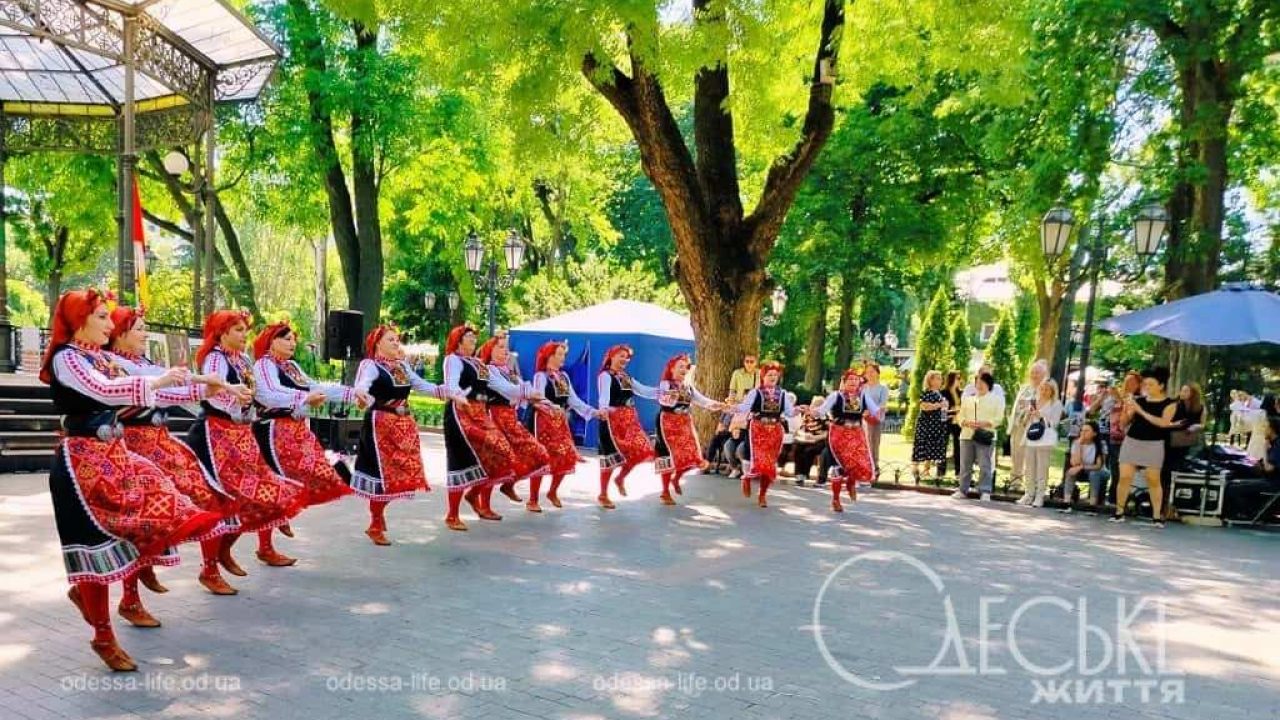 Кискаңызды порнофильмге дайындау